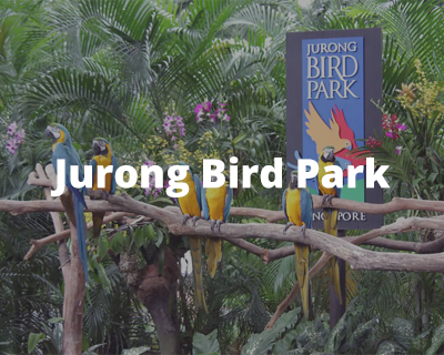 Jurong Bird Park